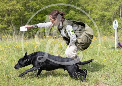 319 Finale Working test 3V4A2326