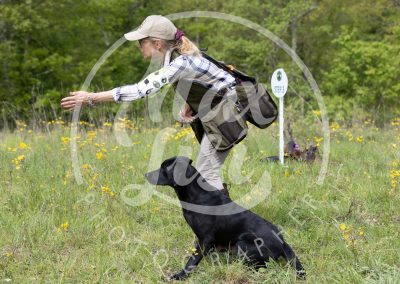 325 Finale Working test 3V4A2371 2