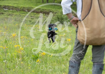 381 Finale Working test 3V4A2769